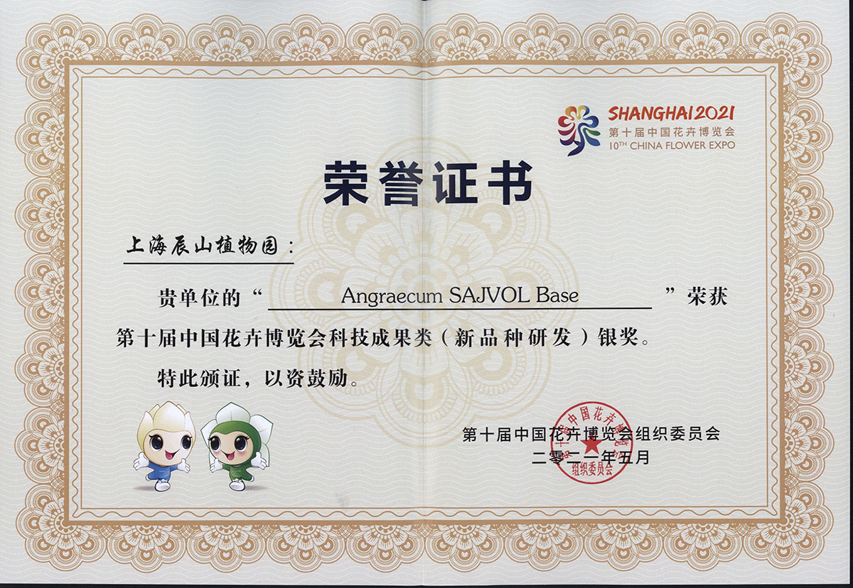 “Angraecum SAJVOL Base”荣获新品种研发银奖.jpg