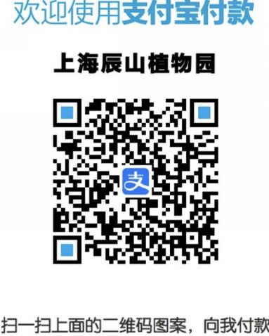 付款码.jpg