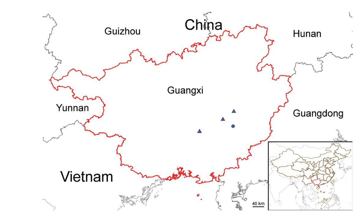 狭苞秋海棠(三角形)及白石山秋海棠(圆形)的分布情况.jpg 狭苞秋海棠(三角形)及白石山秋海棠(圆形)的分布情况.jpg
