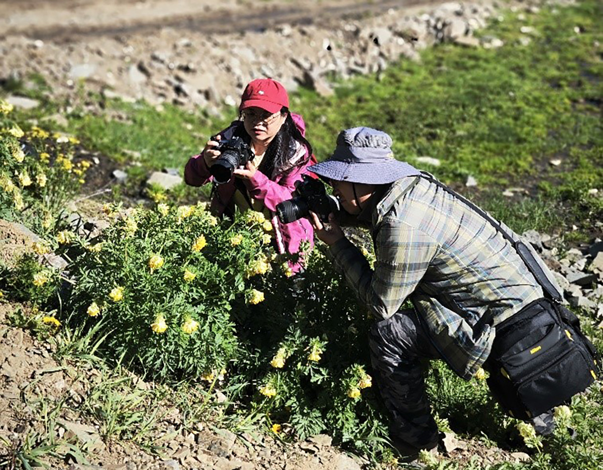紫堇属小组成员在野外考察和采集紫堇属植物.jpg